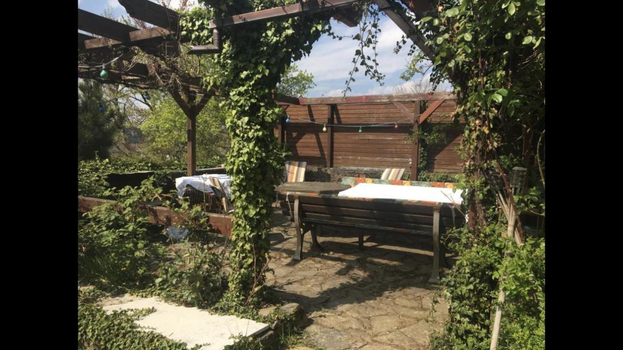 Ferienwohnung Apartment Doppelzimmer In Der Villa Naturpark Rheinblick, Ruhig, Aussicht, Pool Koblenz  Exterior photo
